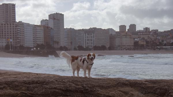 A Coruña